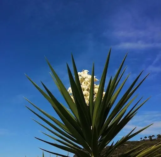 Lazzarini Imperia Franco In Con Piscina Condivisa Feriehus Gorleri