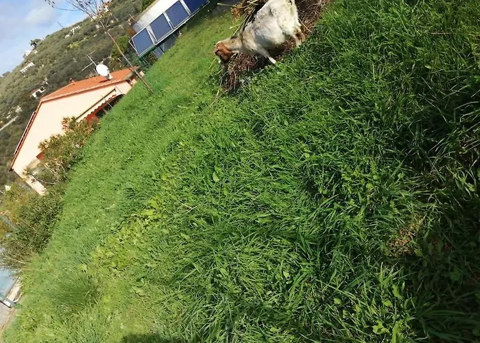 Lazzarini Imperia Franco In Con Piscina Condivisa